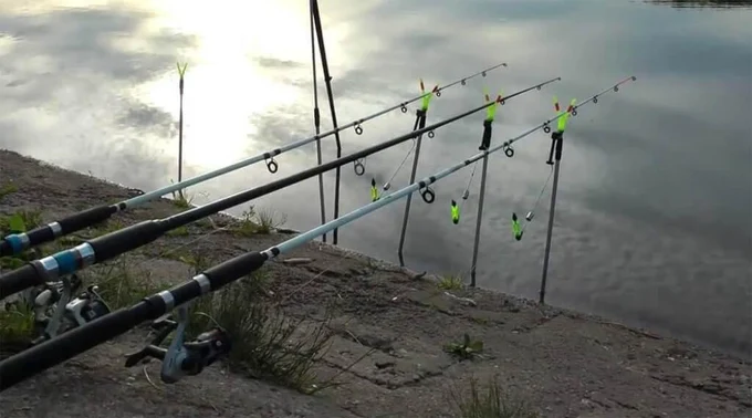 У нас вы найдете: