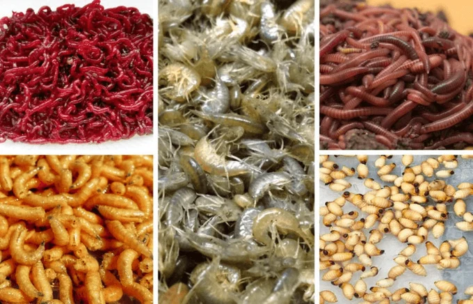 У нас вы найдете: